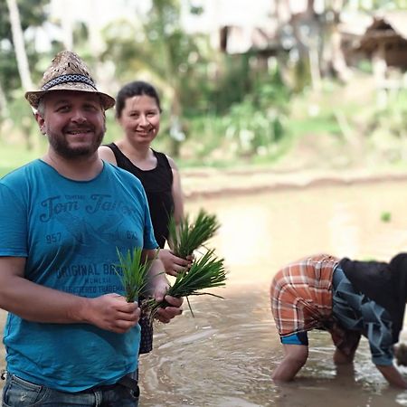 Alfarizi Homestay Tetebatu Eksteriør billede