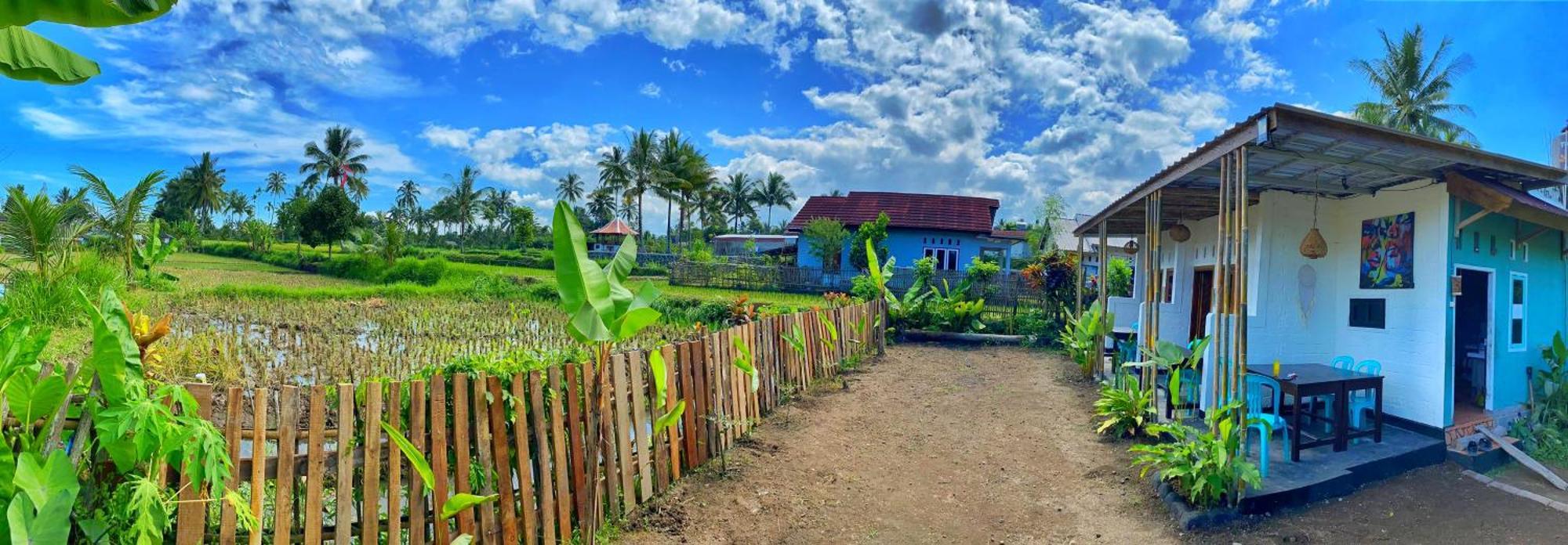 Alfarizi Homestay Tetebatu Eksteriør billede