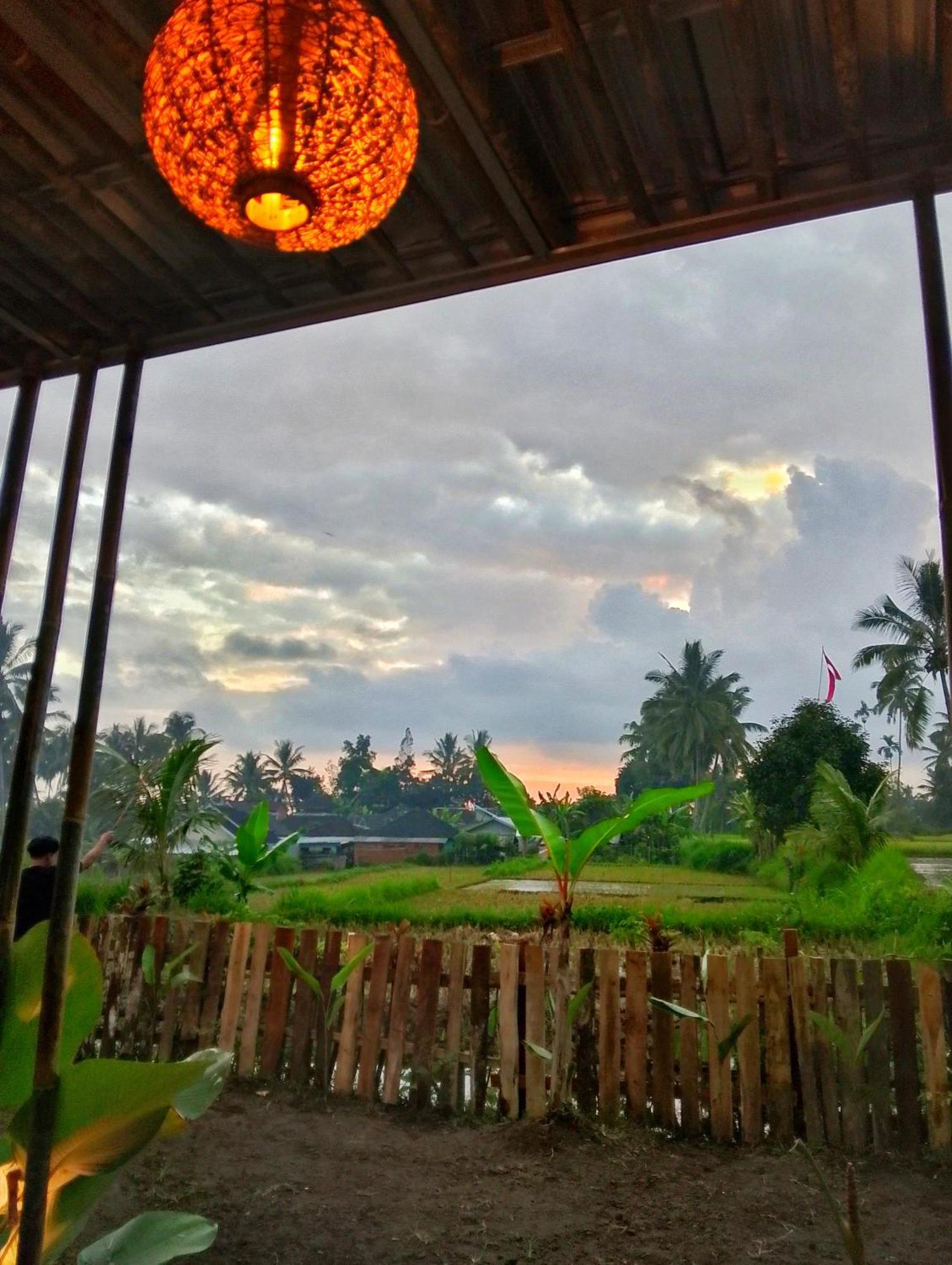 Alfarizi Homestay Tetebatu Eksteriør billede