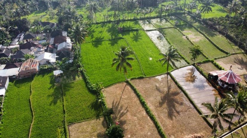 Alfarizi Homestay Tetebatu Eksteriør billede